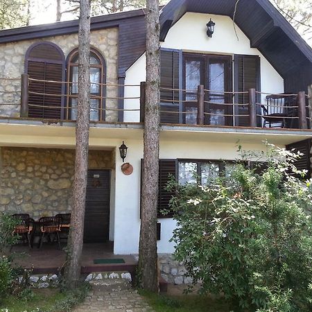 Guesthouse Bajka Vinci Esterno foto