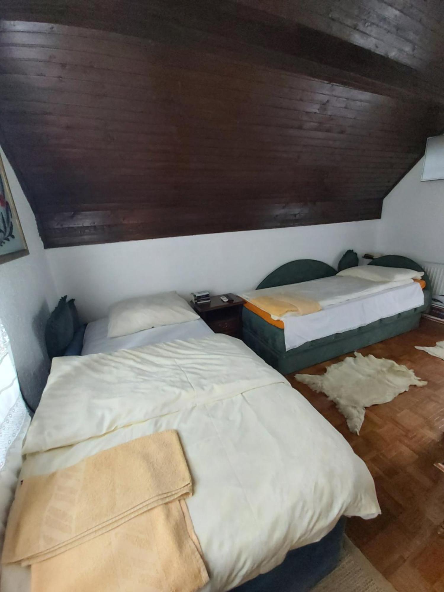 Guesthouse Bajka Vinci Camera foto