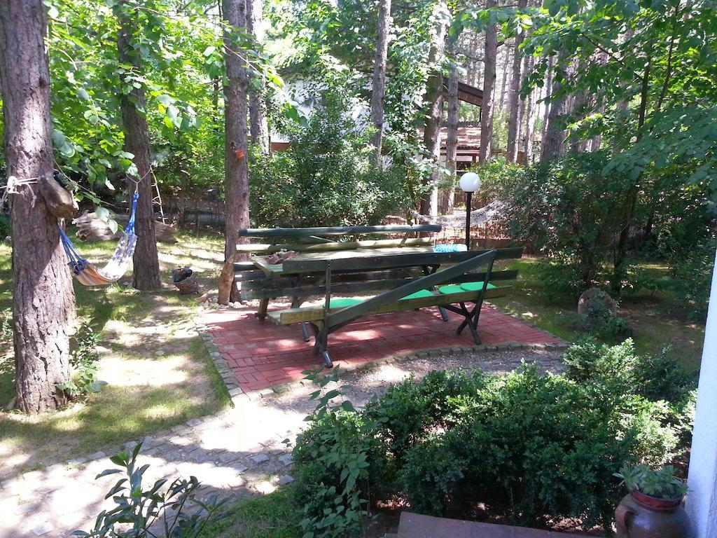 Guesthouse Bajka Vinci Esterno foto