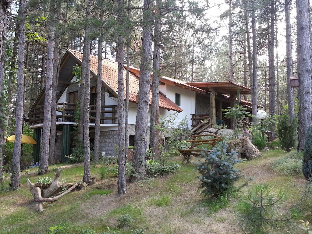 Guesthouse Bajka Vinci Esterno foto
