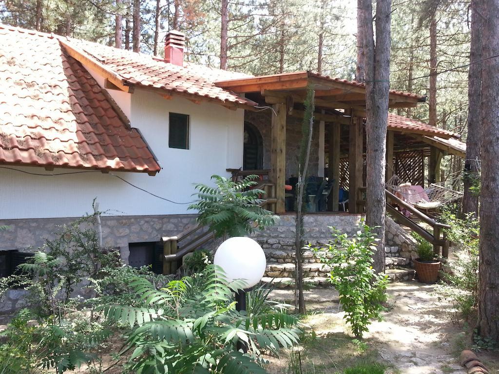 Guesthouse Bajka Vinci Esterno foto