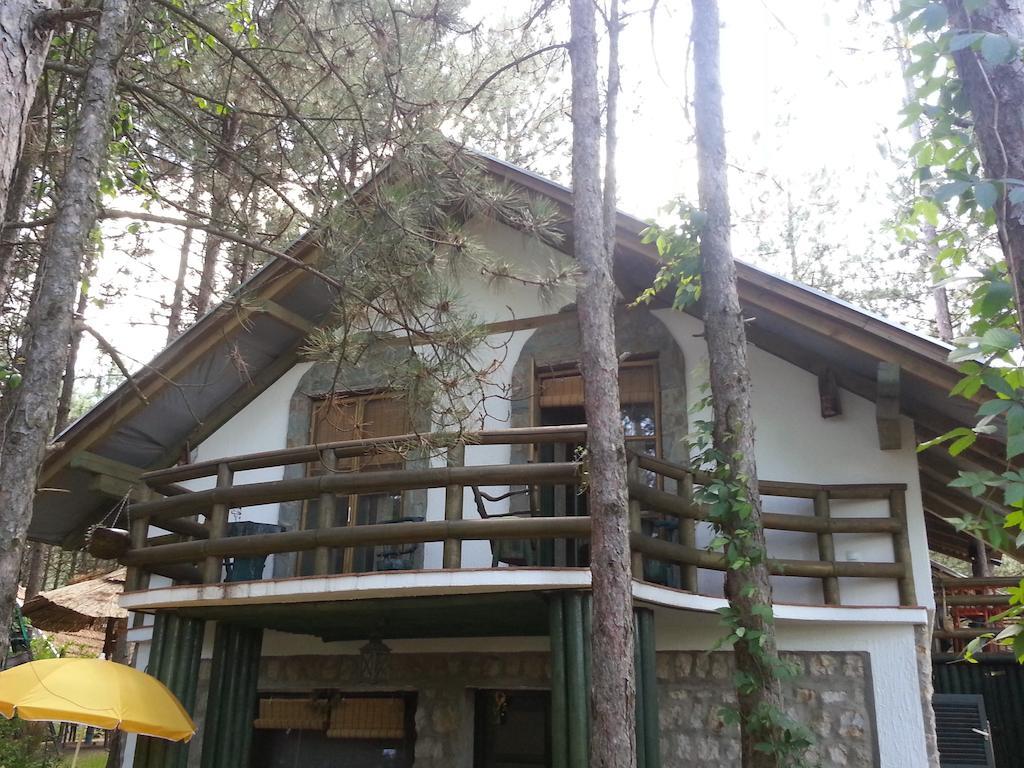 Guesthouse Bajka Vinci Esterno foto