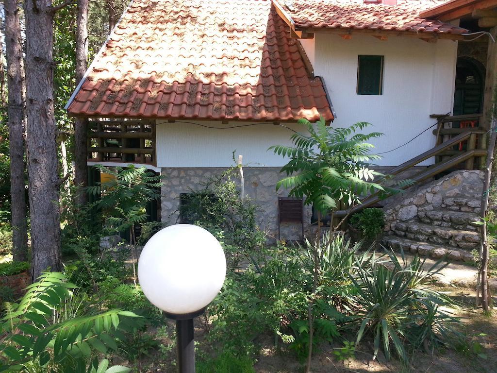 Guesthouse Bajka Vinci Esterno foto