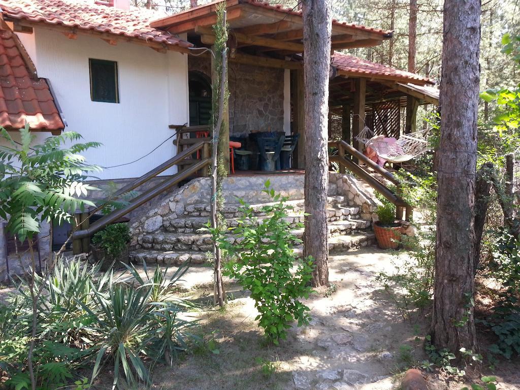 Guesthouse Bajka Vinci Esterno foto