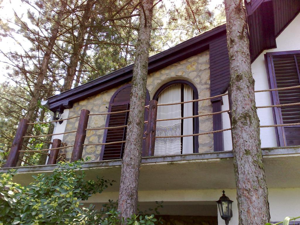 Guesthouse Bajka Vinci Esterno foto