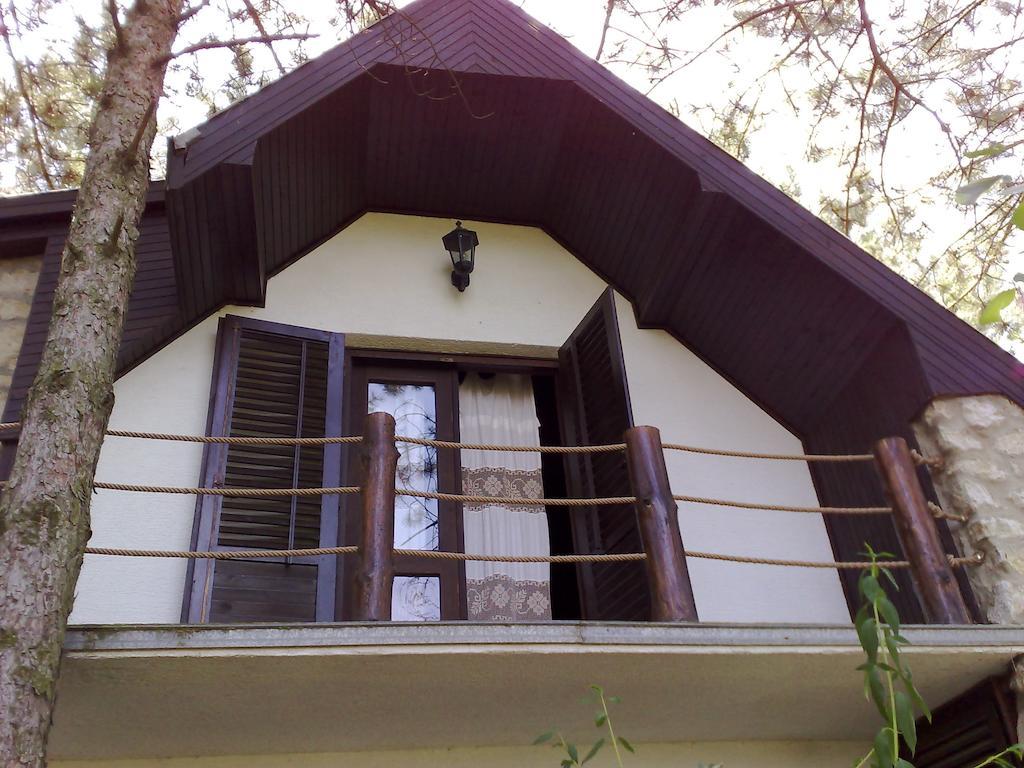 Guesthouse Bajka Vinci Esterno foto