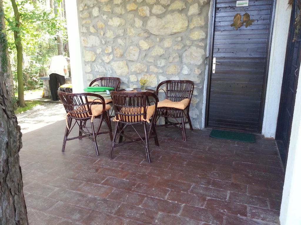 Guesthouse Bajka Vinci Esterno foto