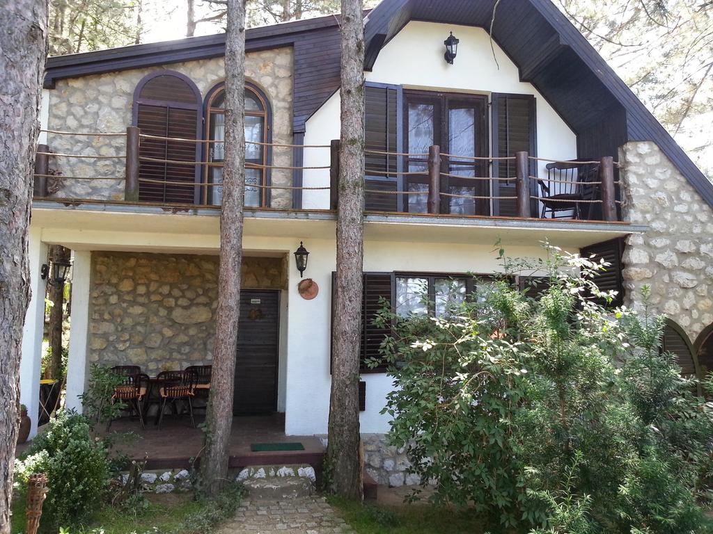 Guesthouse Bajka Vinci Esterno foto