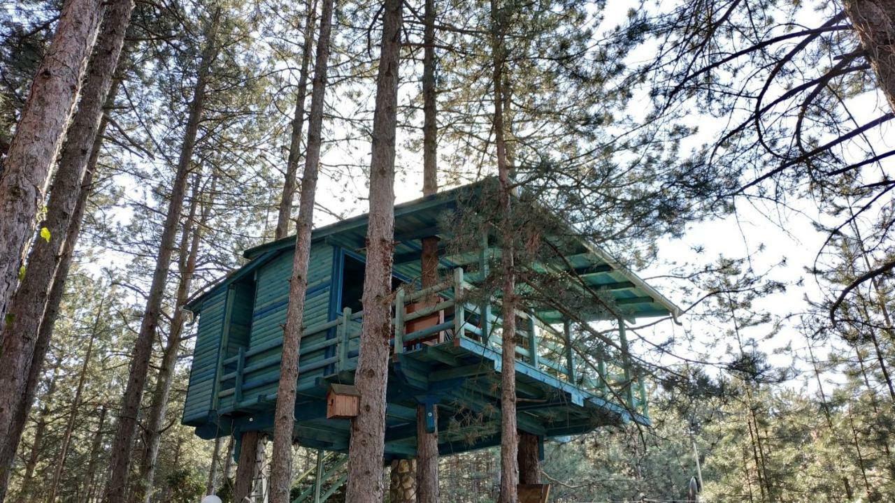 Guesthouse Bajka Vinci Esterno foto