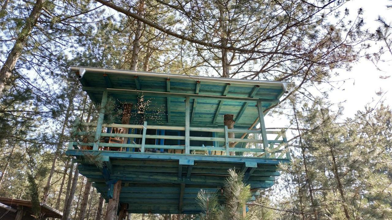 Guesthouse Bajka Vinci Esterno foto