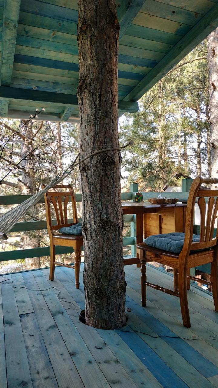 Guesthouse Bajka Vinci Esterno foto
